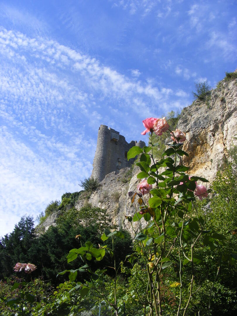 Angles ©CHILOUX_Florence_22_08_11.JPG