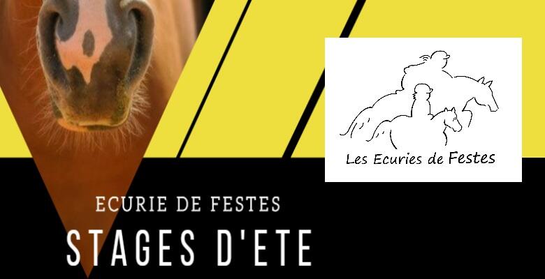 écuries-festes-stage-été.jpg