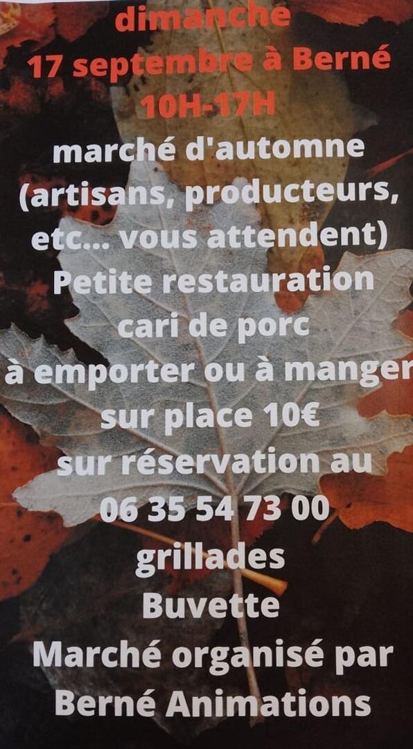 Marche_Automne_Berne.jpg