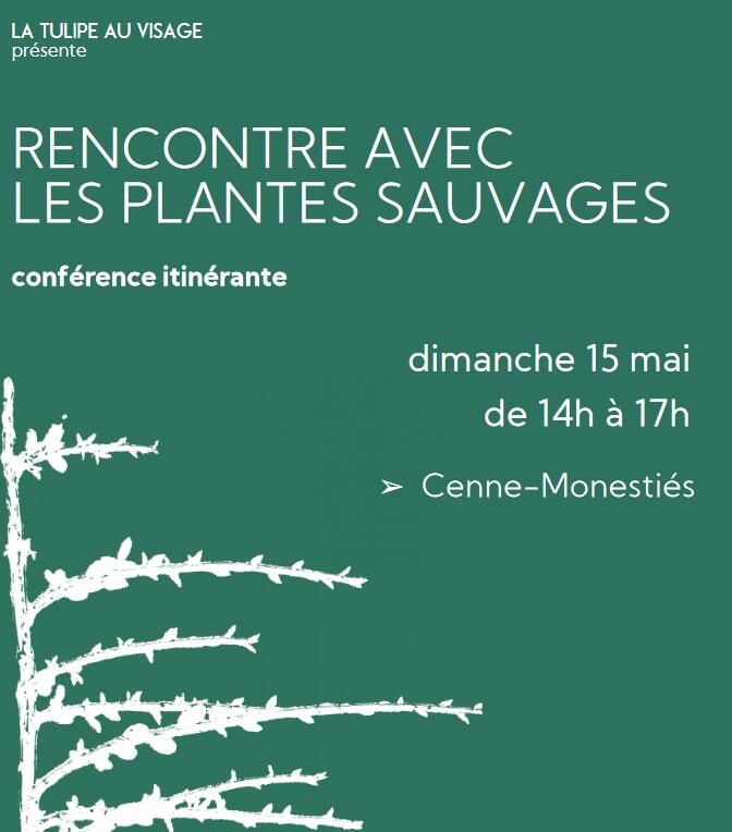 balade botanique Cenne-monesties.jpg