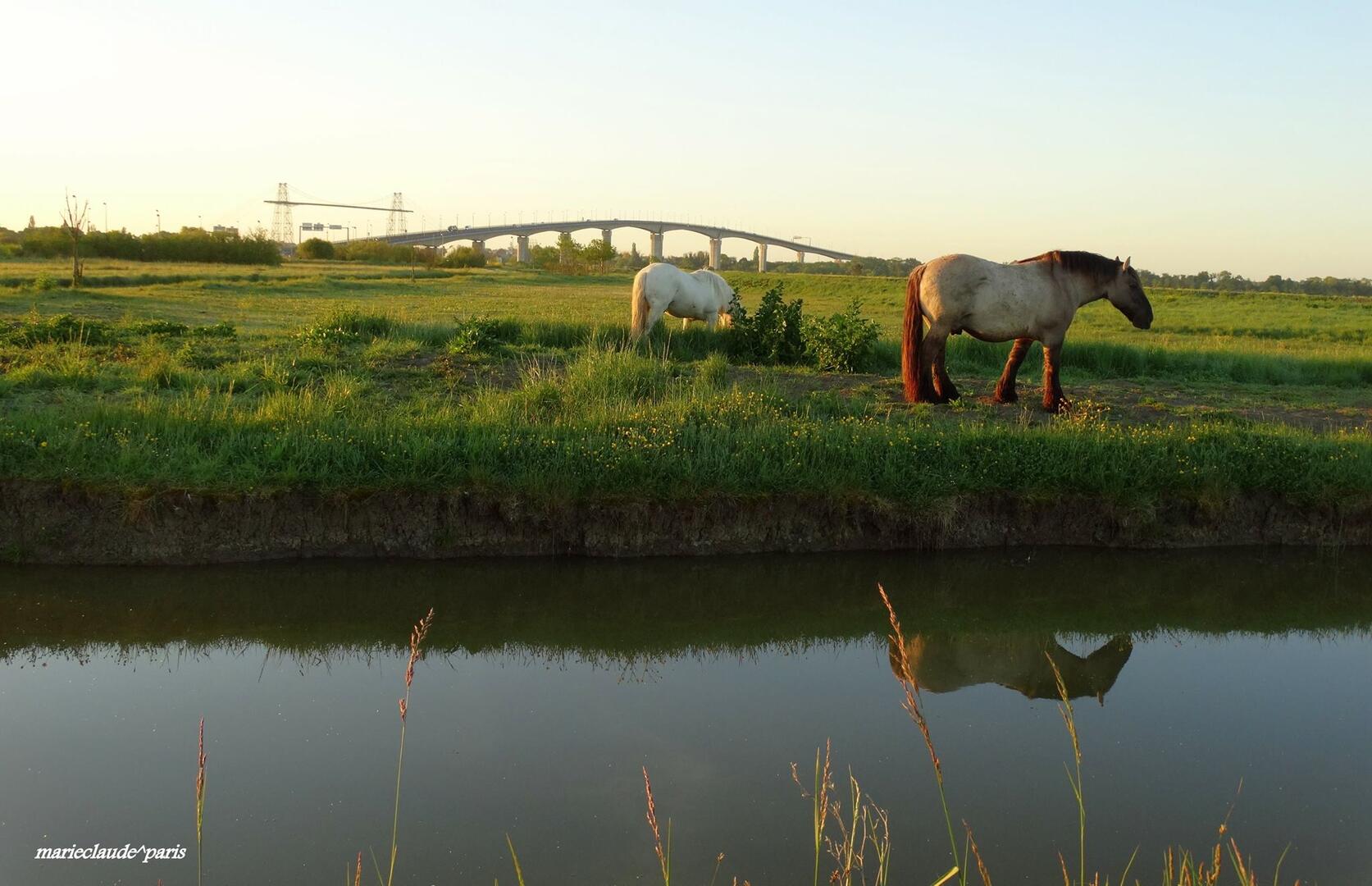 marieclaudecremois (13).jpg