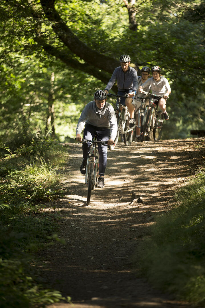 VTT.jpg