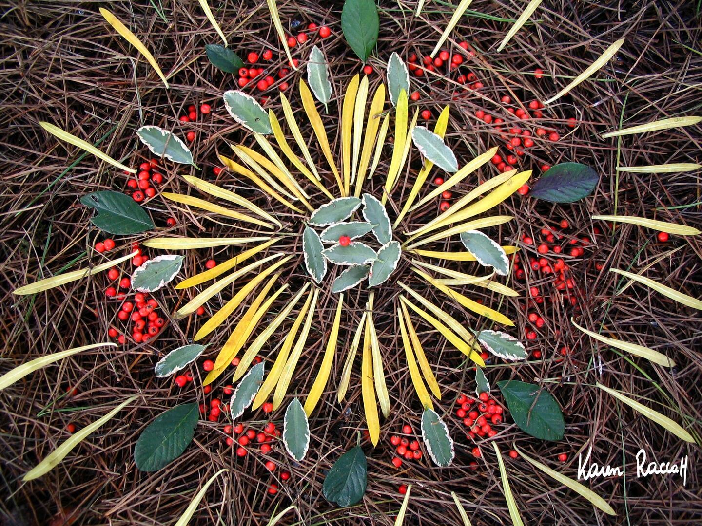 karen raccah land art Mandala 180cm x 130cm.jpg