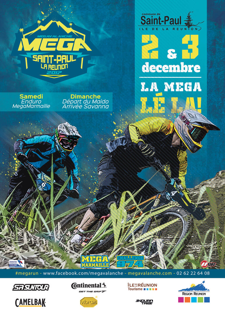 affiche mégavalanche 2017.jpg