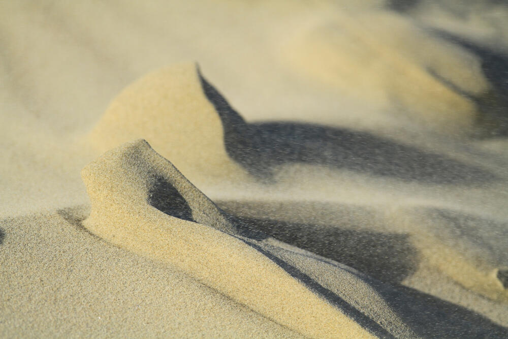 39.Fort Mahon_10.04.2019.JPG