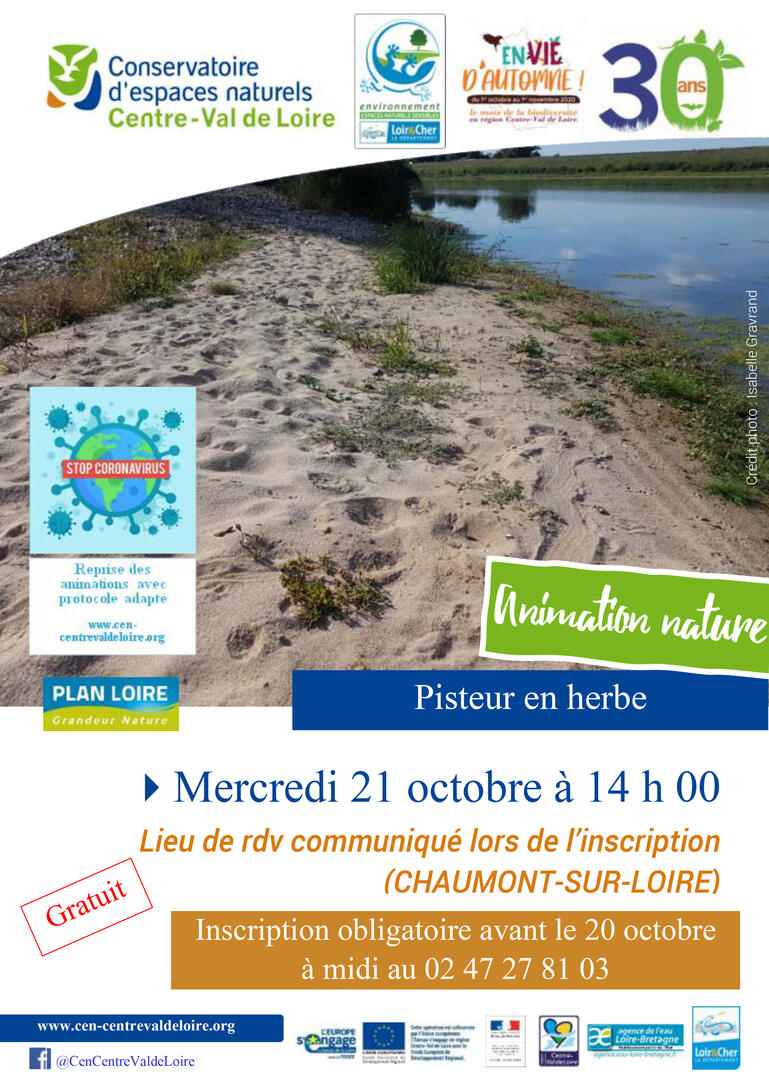 Affiche_IleDeLaFolie_20201021.jpg