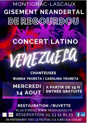 affiche venezuela (002).jpg