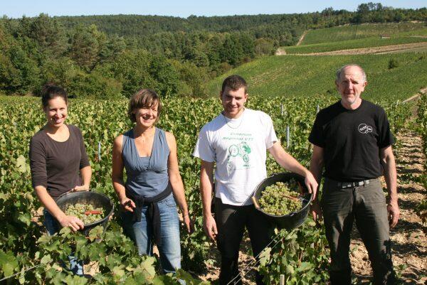 champagne thierry massin.jpg