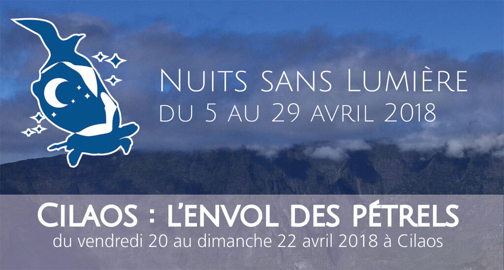 affiche cilaos l'envol des pétrels.jpg