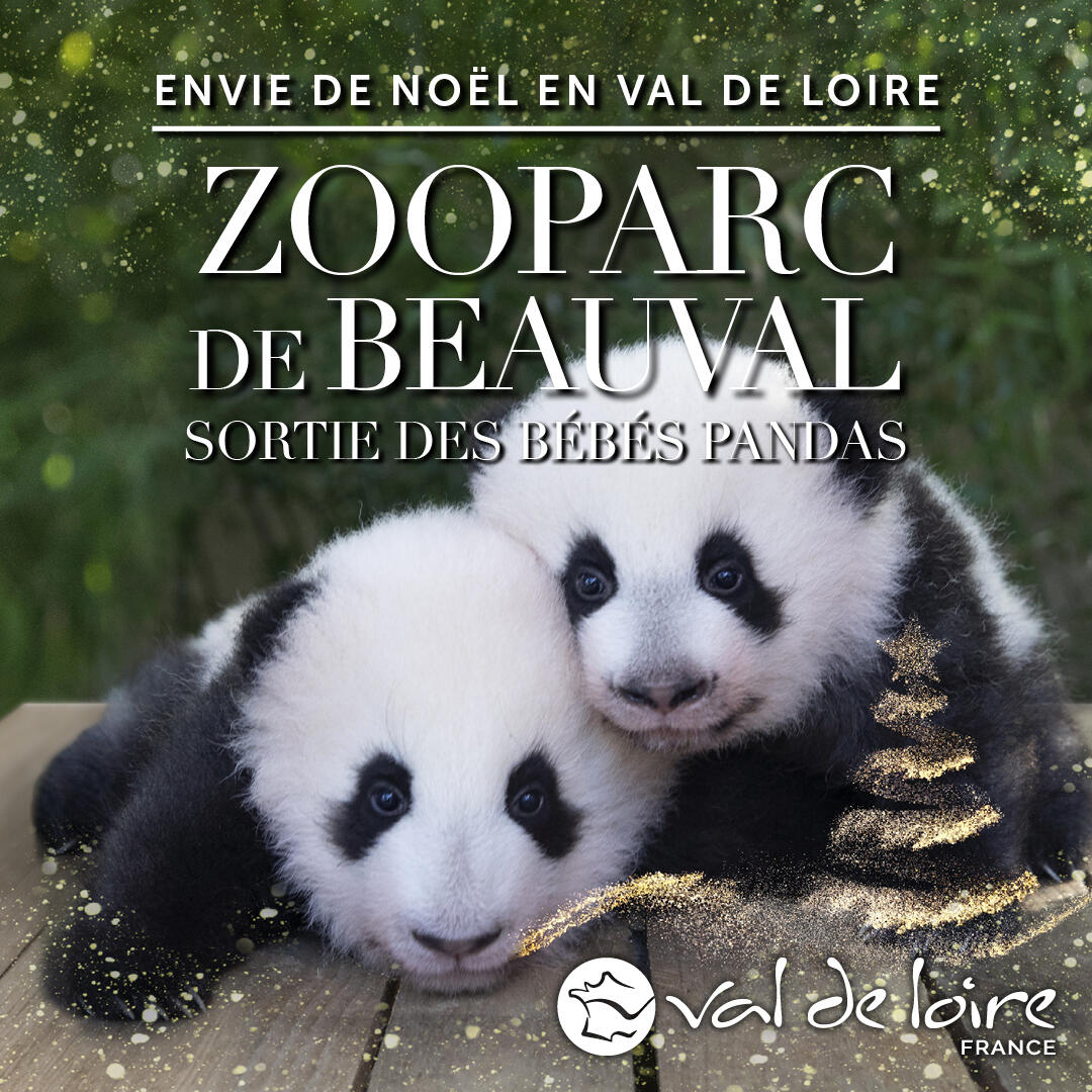 VAL-DE-LOIRE-Noel2021-BEAUVAL-1080x1080.jpg