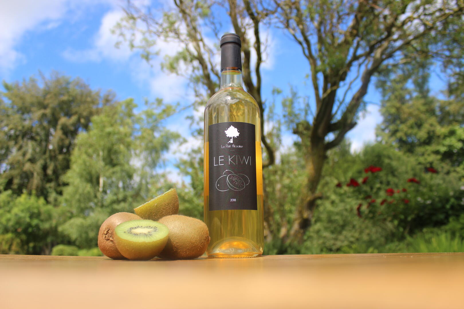 le kiwi vin de kiwi.JPG
