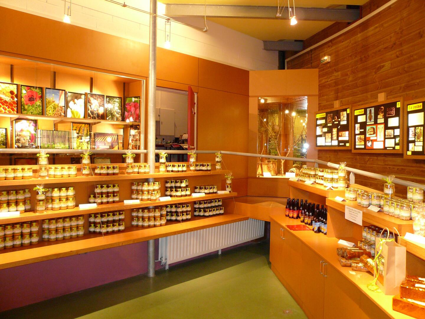 Maison_des_abeilles_Ingrandes_La_Roche_Posay.jpg
