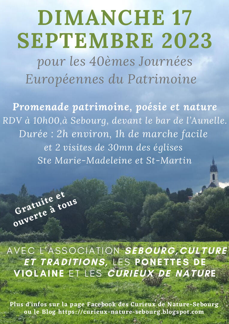 JEP-sebourg-violaine-moizard.jpeg