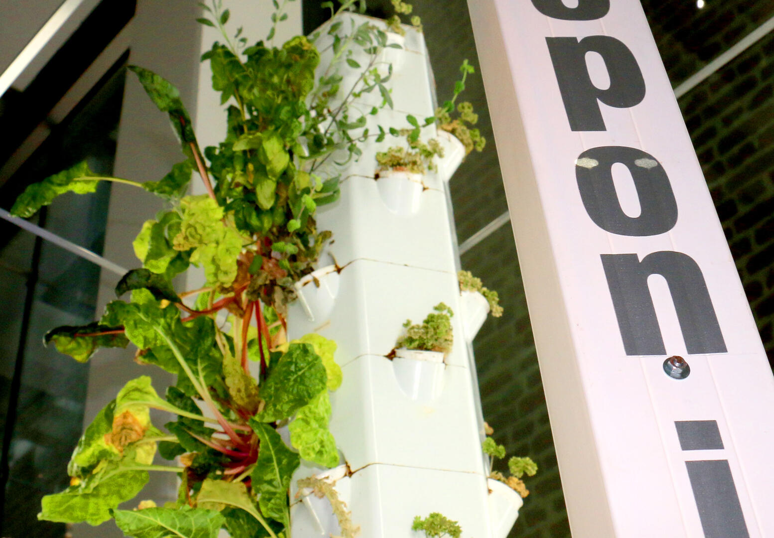 tour-bioponie2.jpg