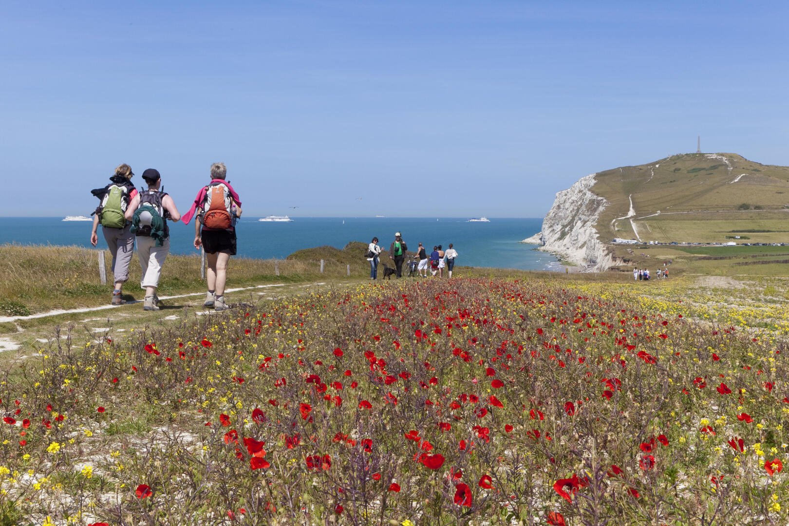 crédit O.leclercq Cap Blanc Nez-628.jpg