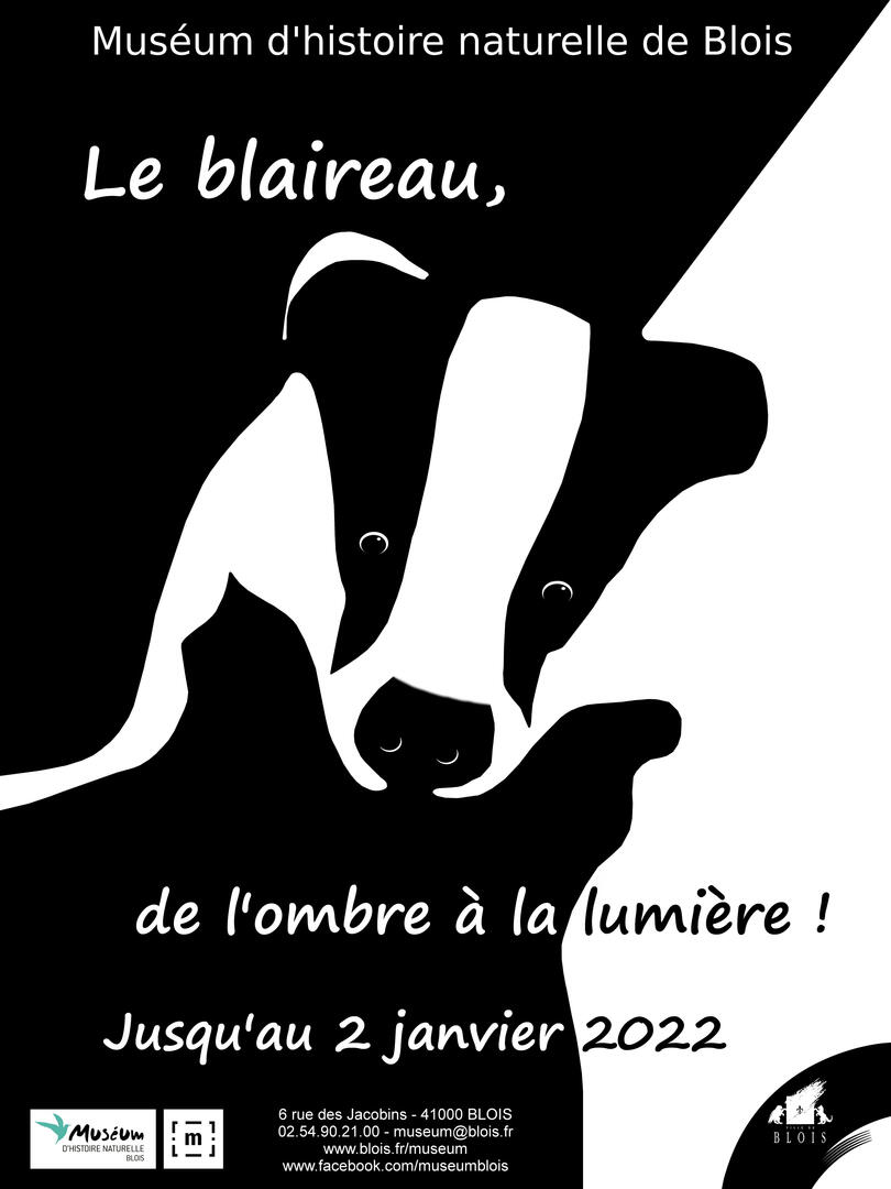 blaireau_affiche_web.jpg