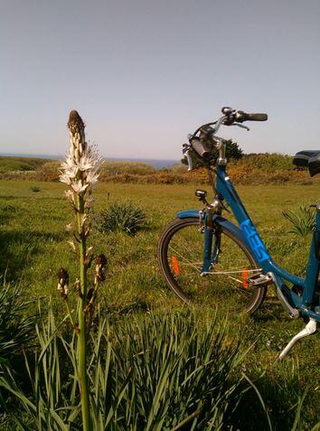 CPIE - Balad'à vélo sur les ENS.JPG