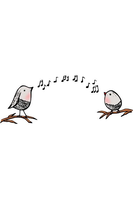 Oiseaux.jpg