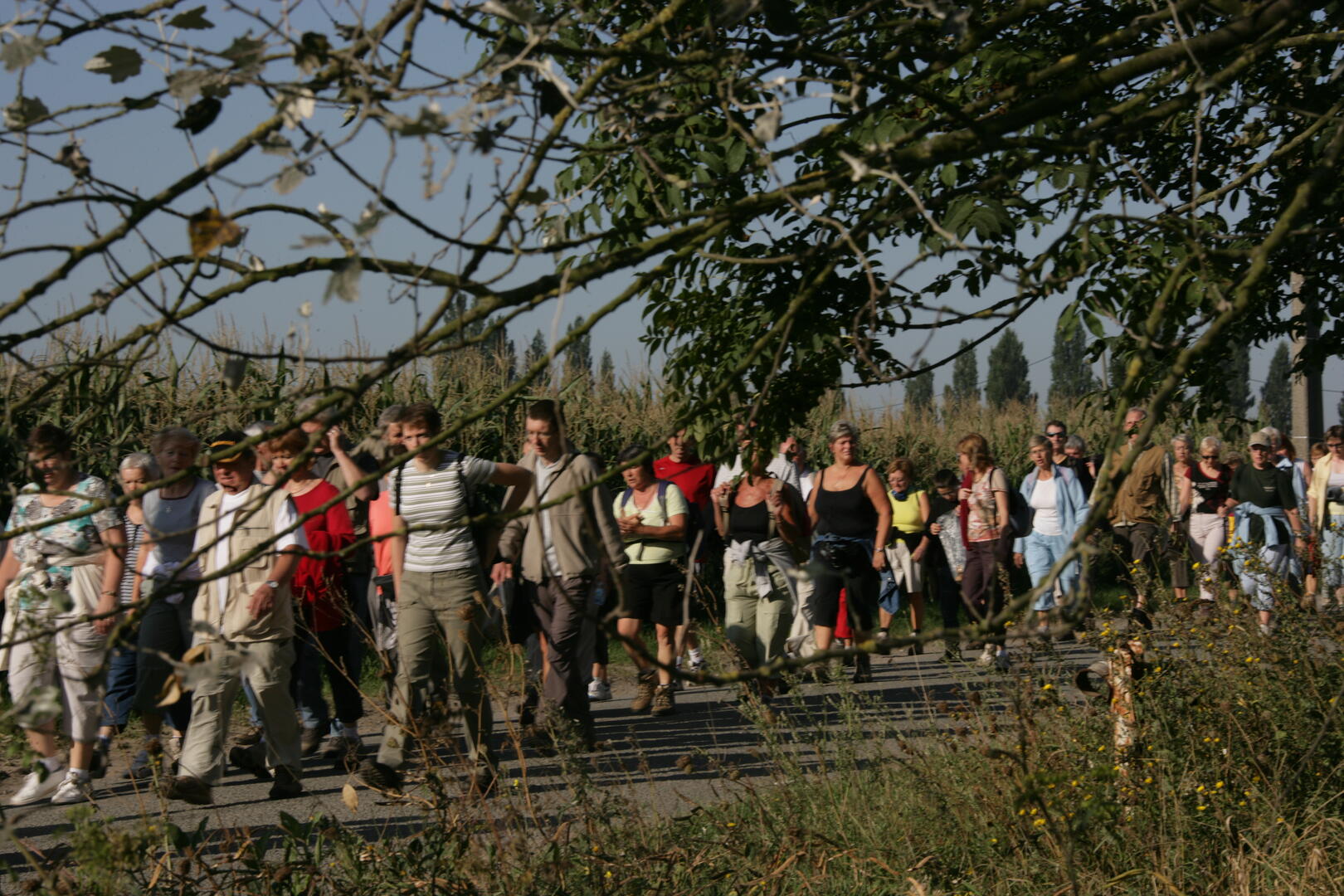 VO6E0032.JPG