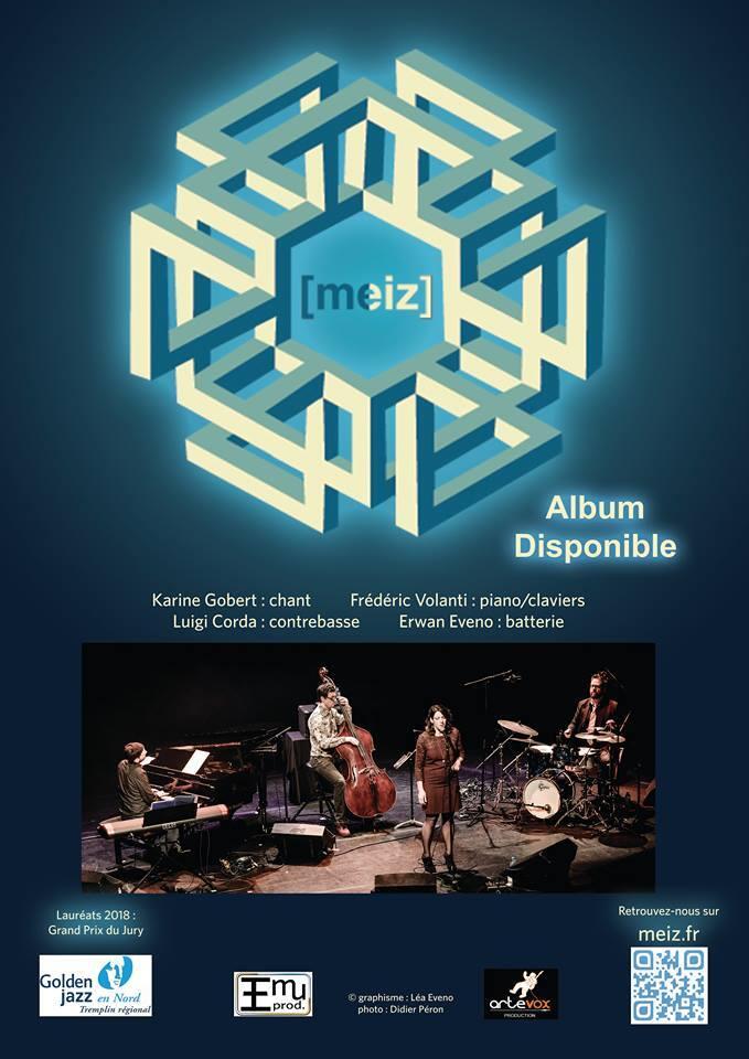 concert meiz 17 nov.jpg