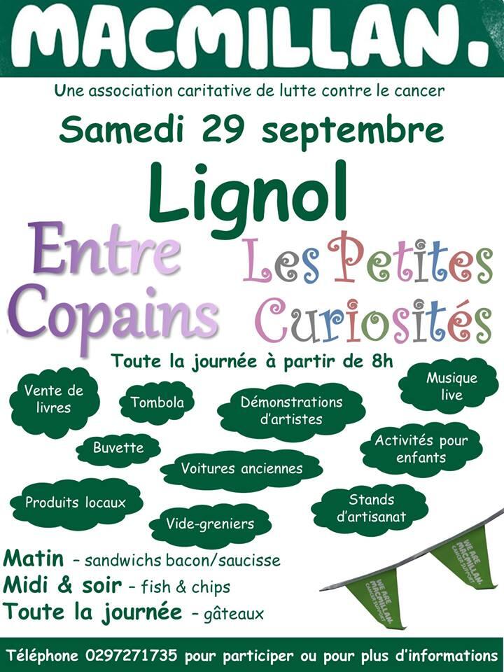 entre copains et les petites curiosités.jpg