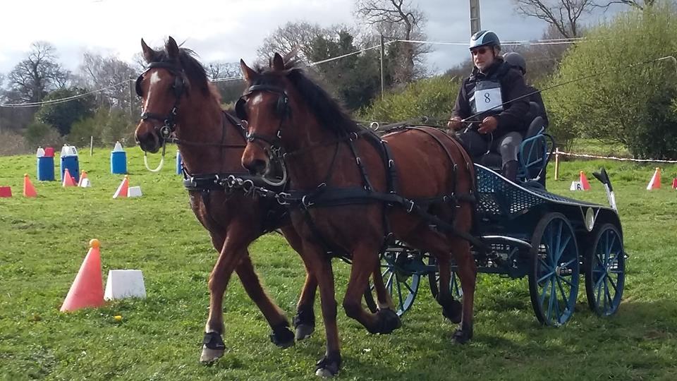 Concours_Attelage_Gourin_2018.jpg