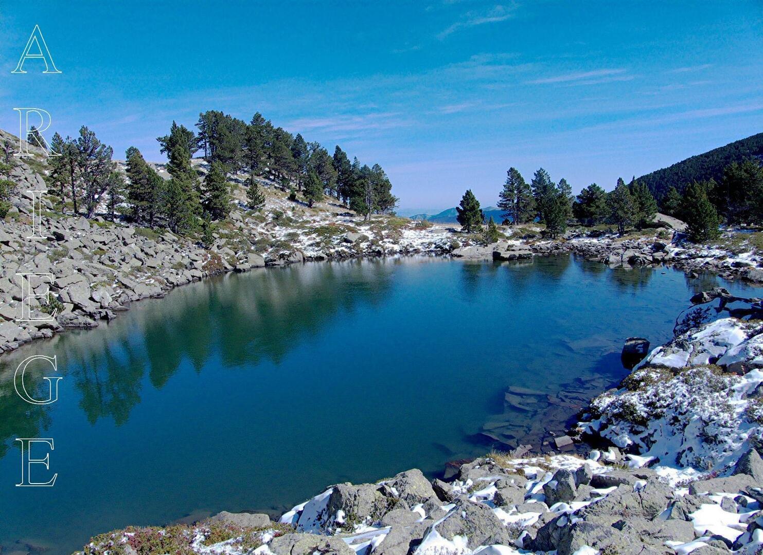 etang de la camisette.jpg
