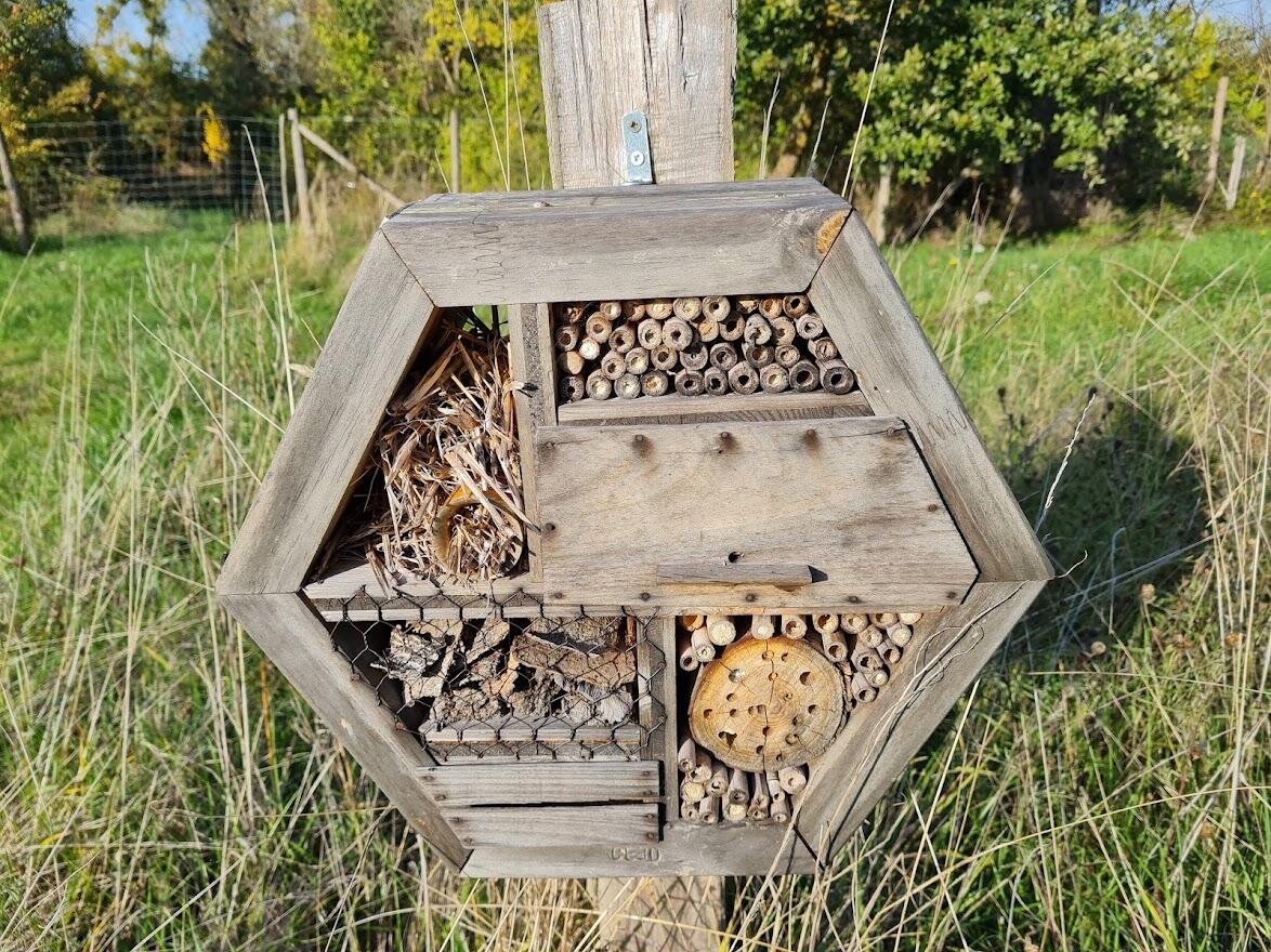 Chasse au tresor Domaine Chevaliers de l Astree 3.jpg