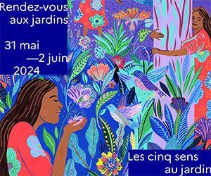 Pavé 300x250.jpg