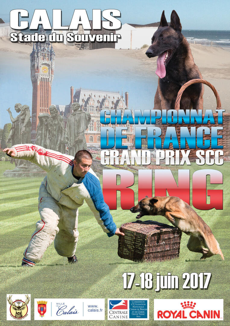 Affiche-CDF-RING-CALAIS-2017.jpg