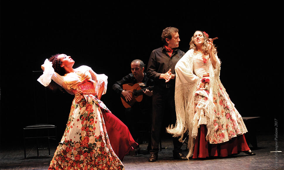 16.04.21 Carmen Flamenco.jpg