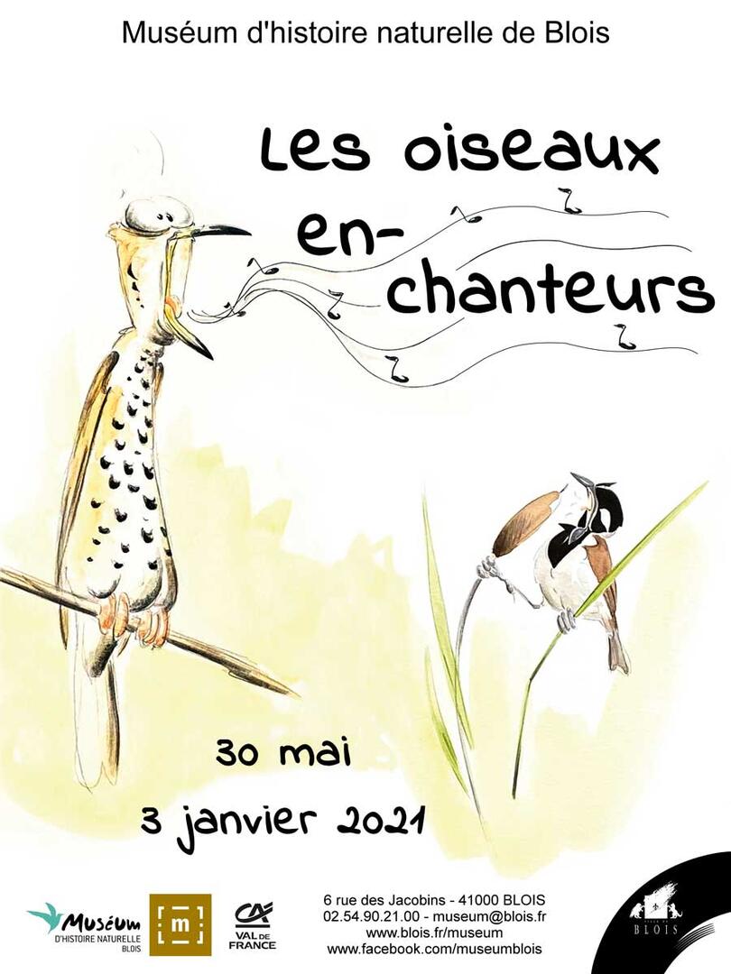 affiche_oiseaux.jpg