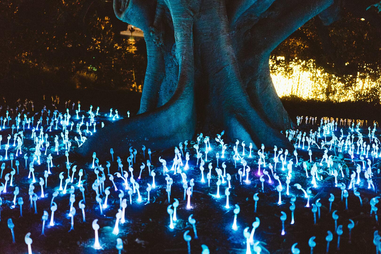 Visuel Jardins En-Chantés - Johannes Plenio.jpg