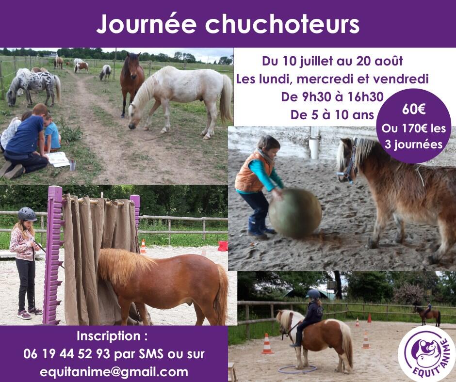 Equit Anime - Journée chuchoteur.jpg