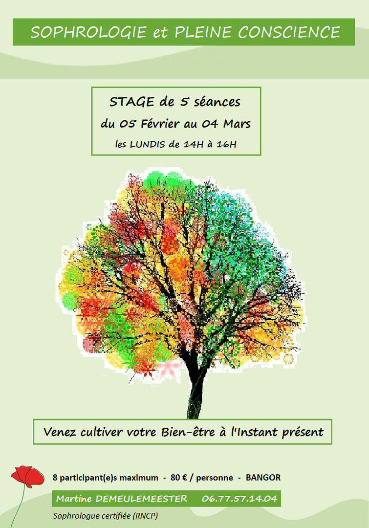 STAGE Sophrologie et Pleine conscience - Martine Demeulemeester copie.jpg