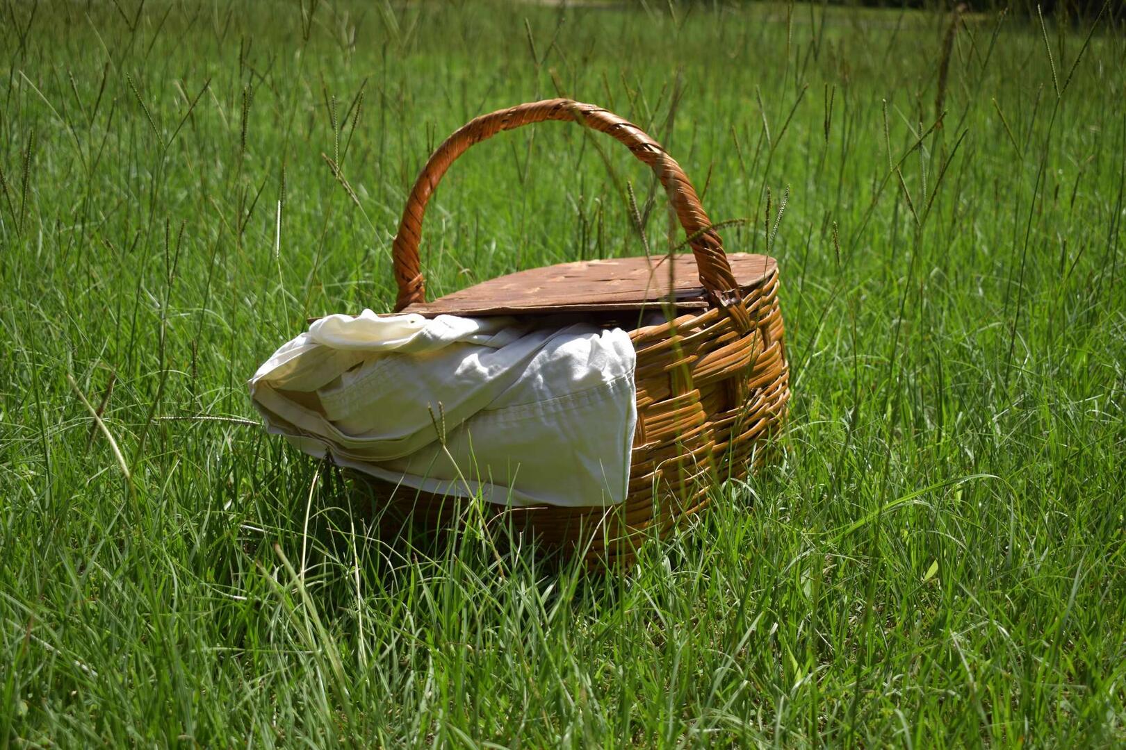 picnic-5421517.jpg
