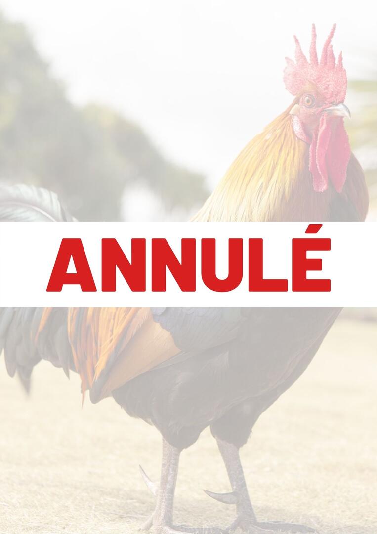 Copie de ANNULÉ (1).jpg