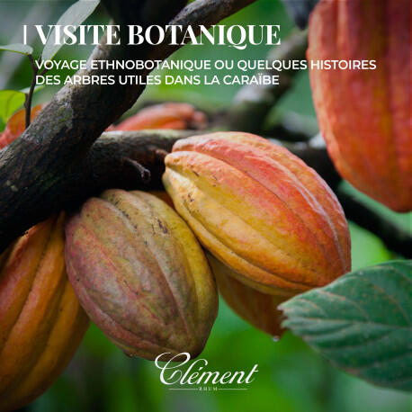visite-botanique.jpeg