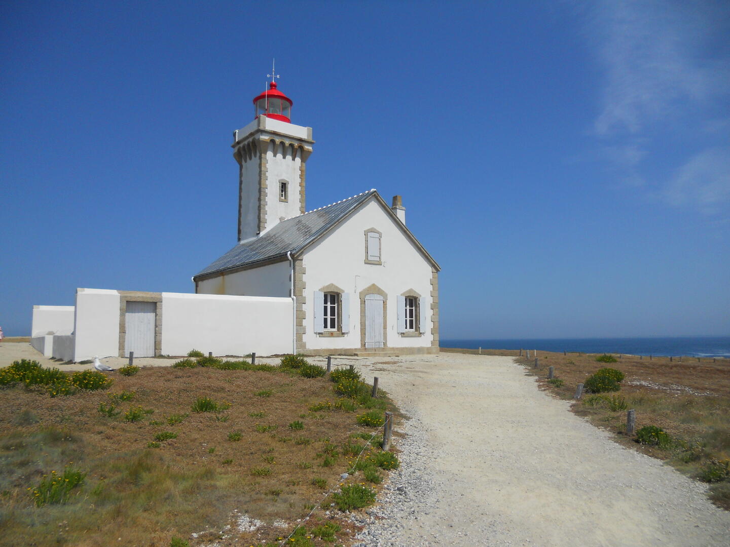 Poulains (J Froger).JPG