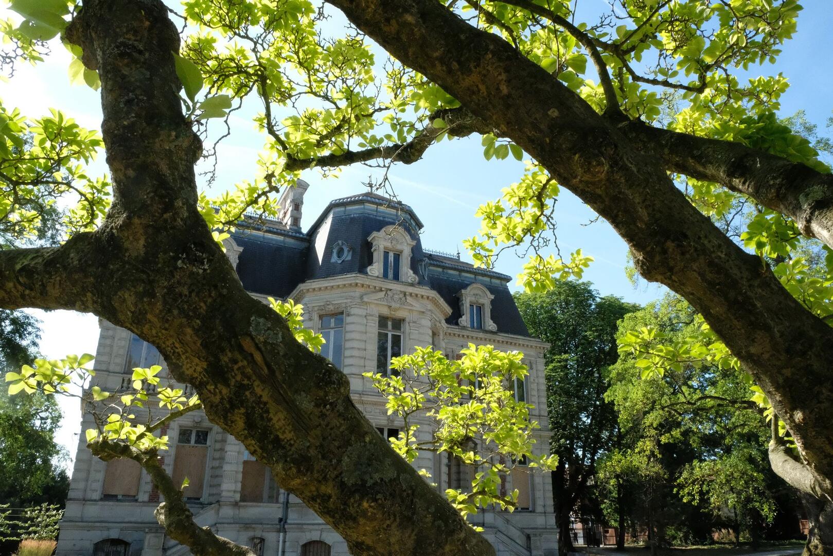 trésor noir d'anzin.jpg