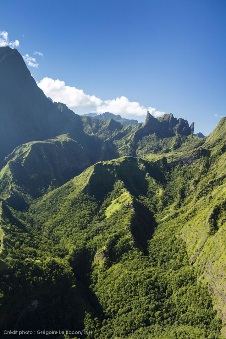 P2_08_TAHITI_Tahiti Moorea (181) © Grégoire Le Bacon Tahiti Nui Helicopters-2027x3041.jpg