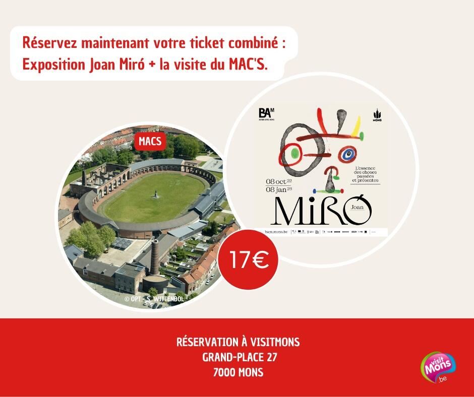 Citytrip à Mons autour de l'univers de l'artiste Miró - RÉSERVEZ MAINTENANT !(1).jpg