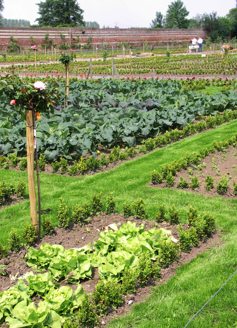 1-Jardins Francaise_D.jpg