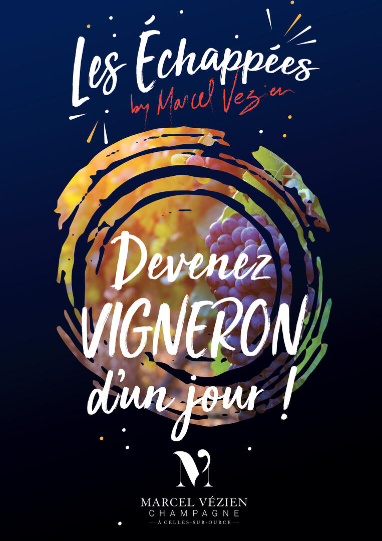 Devenez vigneron d'un jour.jpg