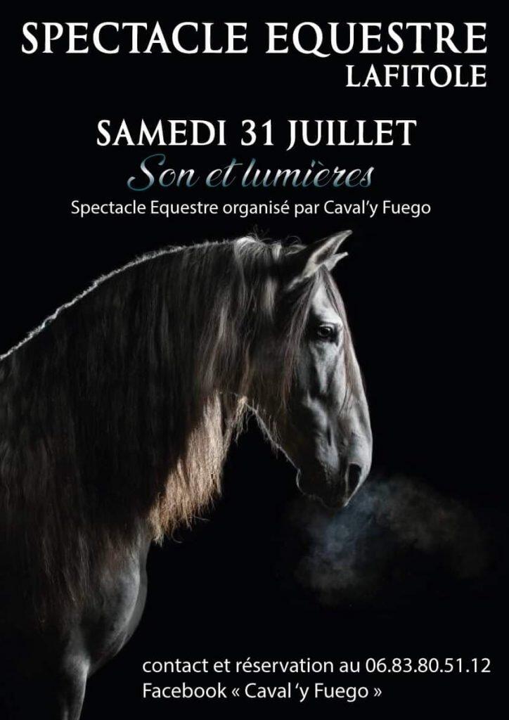 Spectacle-equestre.jpg