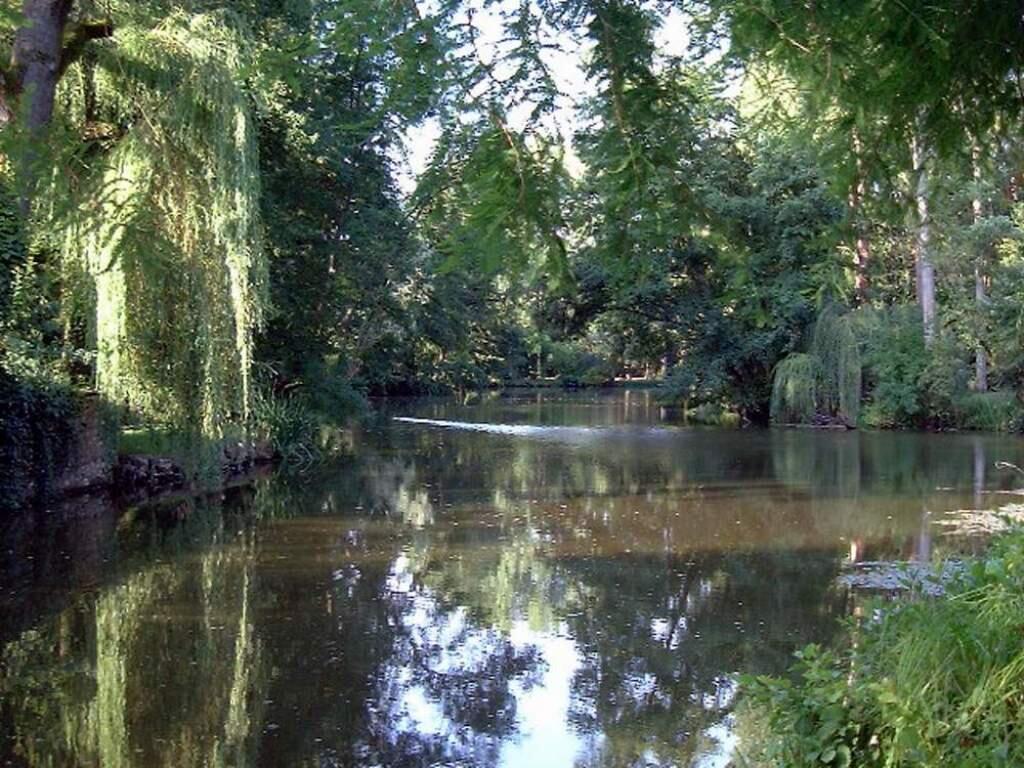 Beuvron-vue-du-lavoir.jpeg