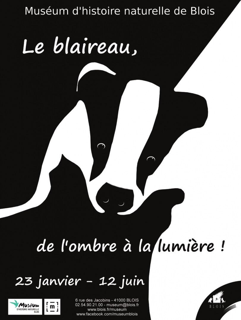 blois-agenda-202101-museum-blaireauombrelumiere.jpg