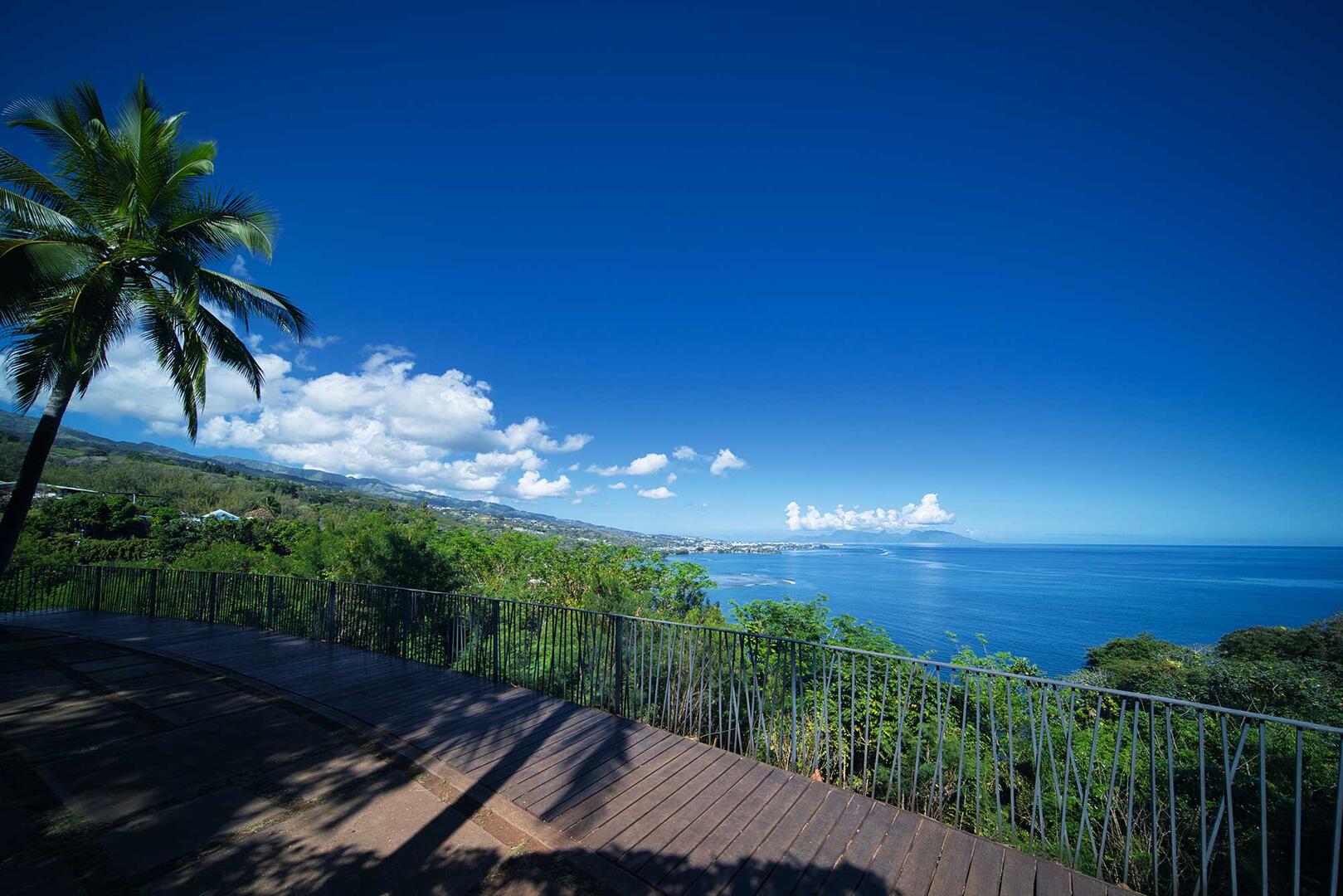 Tahiti---Point-de--vue-Tahara'a-paysage---Tahiti-Tourisme-©-Kristiyan-Markov.jpg