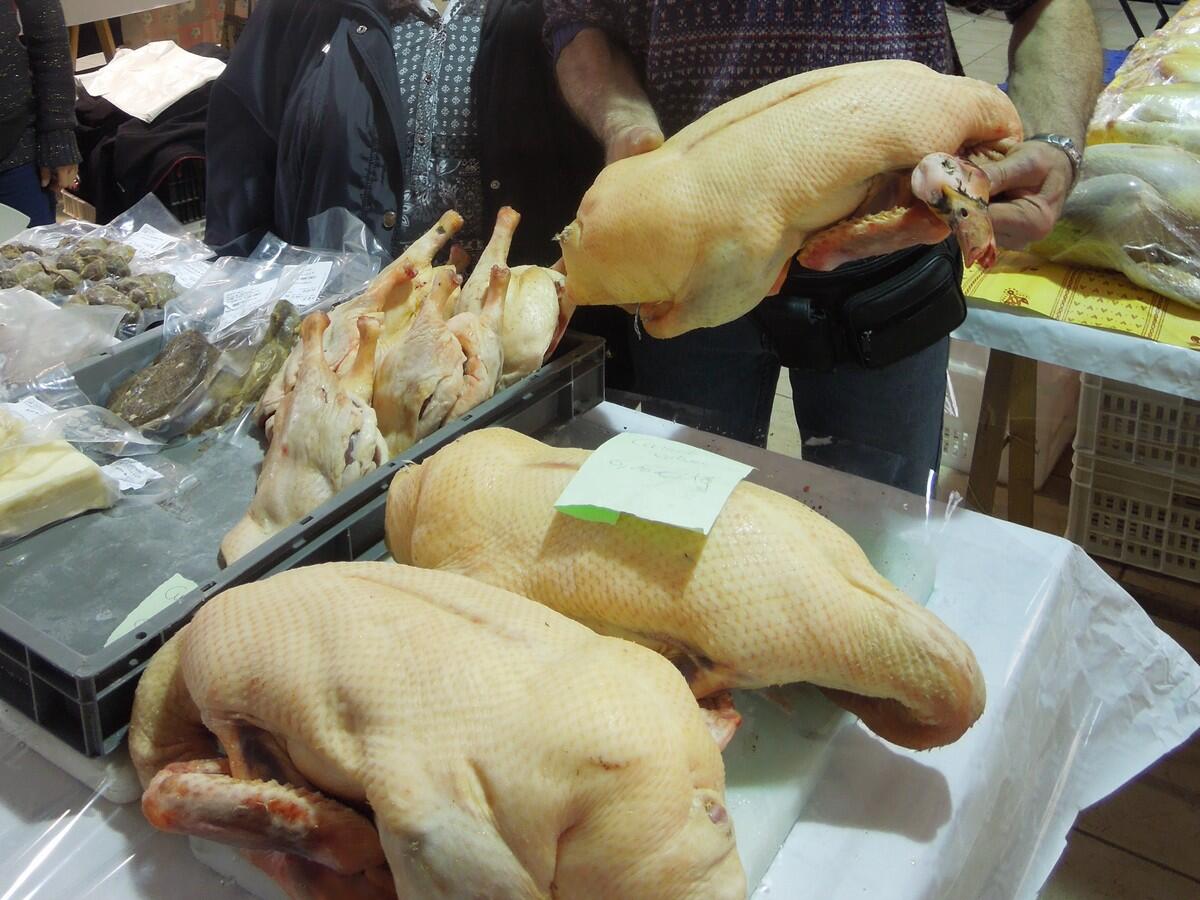 foire au gras rieux.JPG