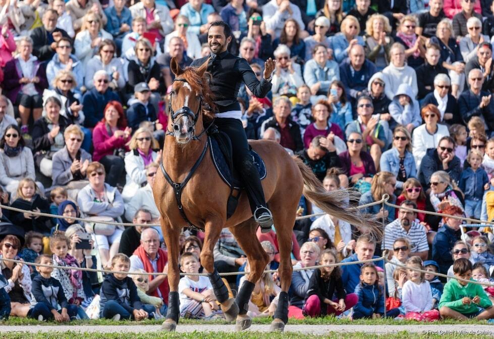 spectacle equestre.jpg